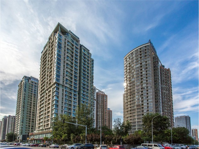 安徽视觉上料柔性振动盘原理